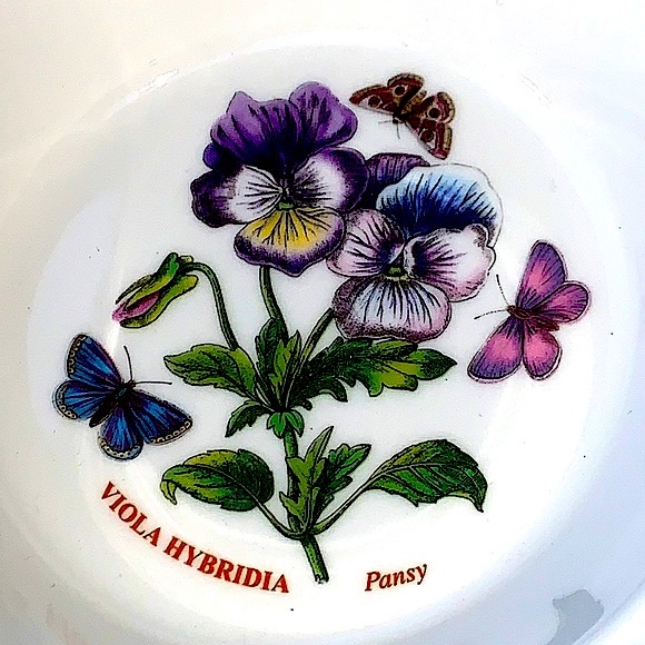 BOTANIC GARDEN BY PORTMEIRION CEREAL OATMEAL BOWL PANCY NEW - Picture 2 of 7